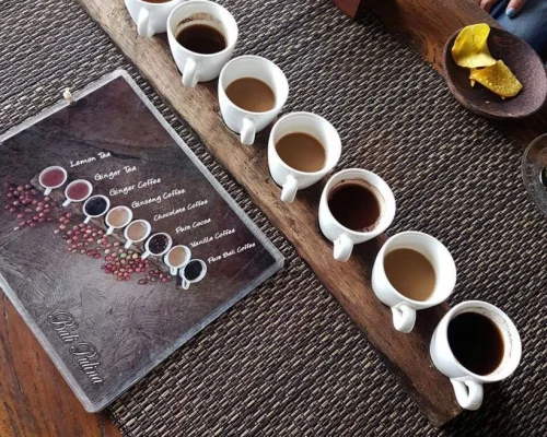 Coffee Plantation Bali Destination Delight
