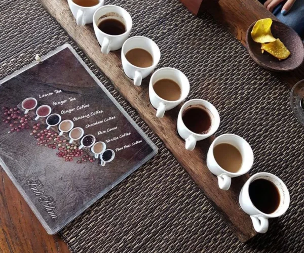 Coffee Plantation Bali Destination Delight