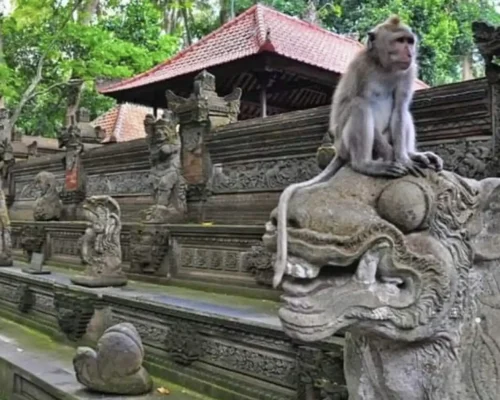 Ubud Monkey Forest Bali Destination Delight