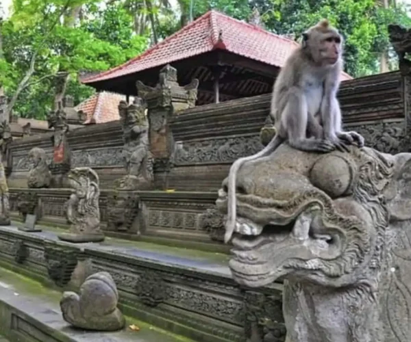 Ubud Monkey Forest Bali Destination Delight