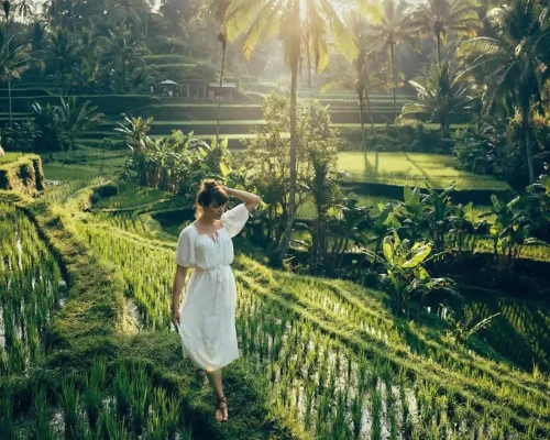 Rice-Terrace-Bali-Destination-Delight