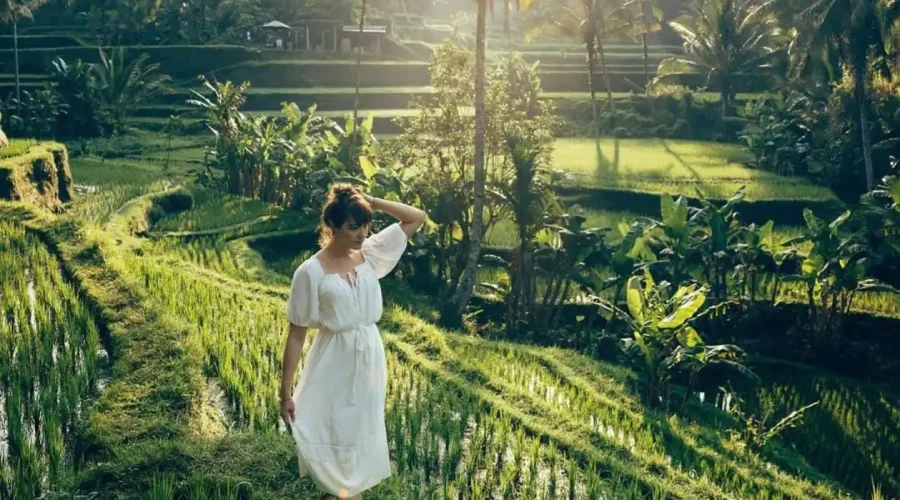 Rice-Terrace-Bali-Destination-Delight