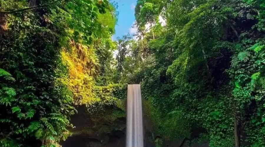 Waterfalls-Bali-Destination-Delight